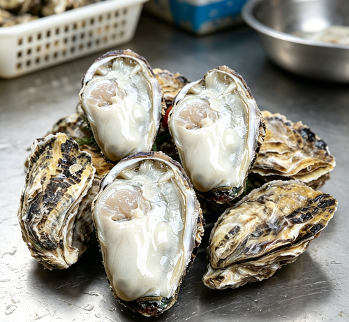 Fresh Raw Oysters: A Luxurious Seafood Delight